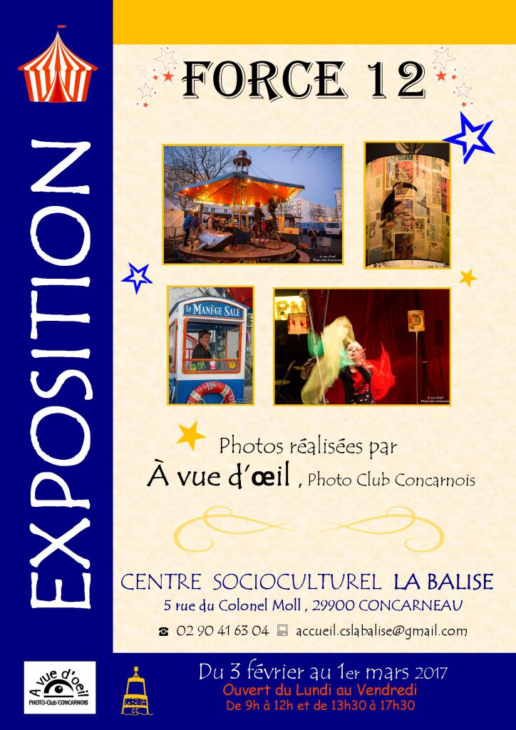 affiche-expo-force-12